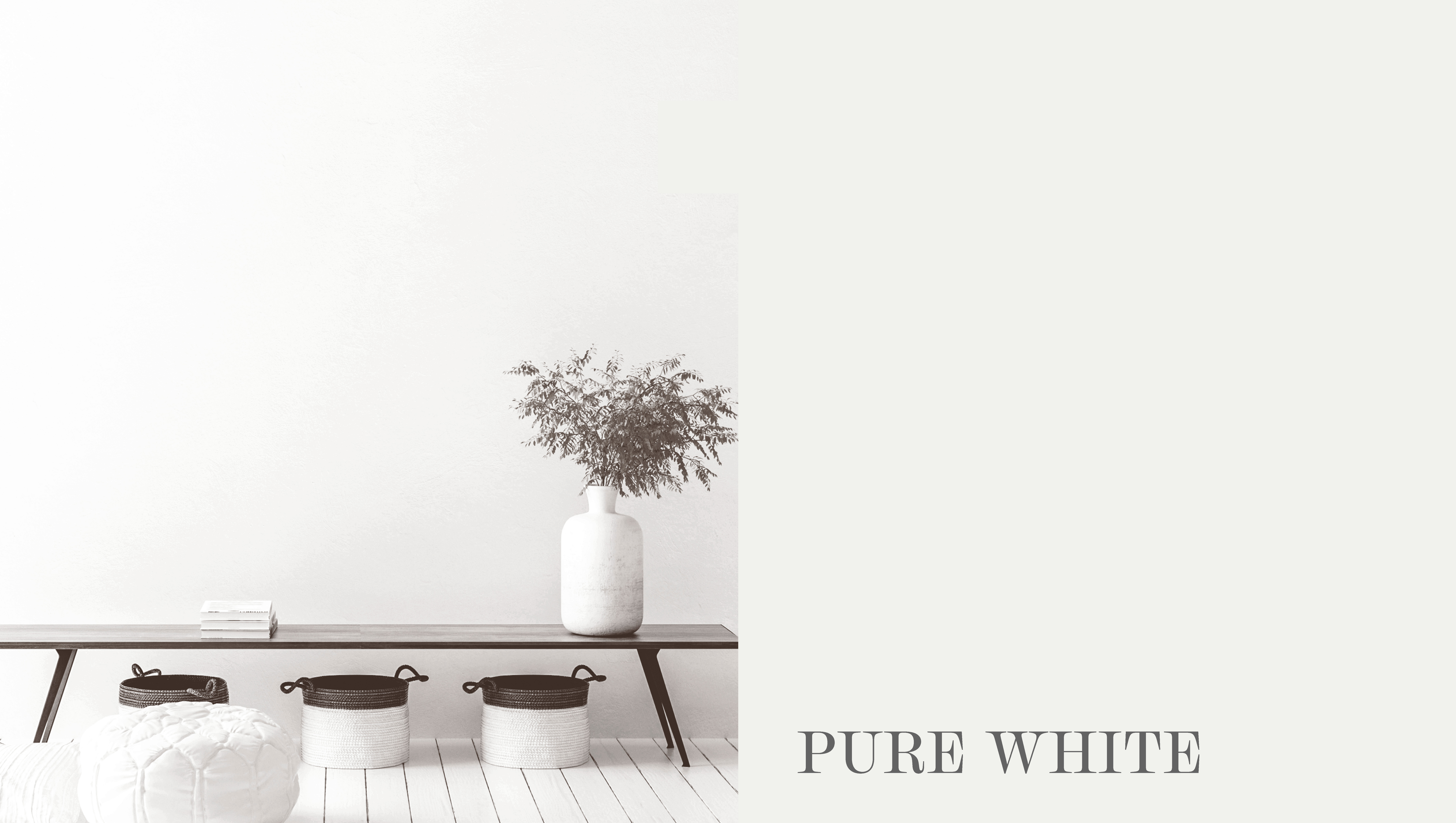 Pure White Ny 2025.jpg